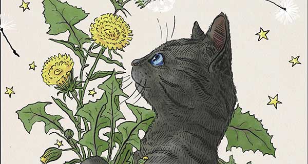 Interview with Kathleen Jennings Illustrator of Gobbolino, the Witch’s Cat